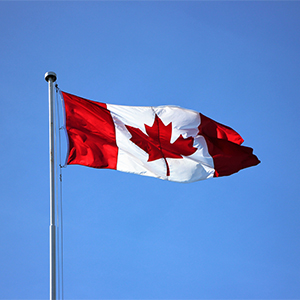 Canada is all set to put a restriction on the number of working hours allowed to international students
